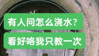 玻璃瓶多肉怎么浇水？看好了喔我只教一次