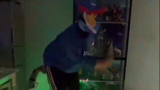 宝可梦们是怎么表白的？