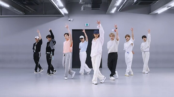 [Stray Kids] การเคลื่อนไหวอันน่าทึ่งในปีต่างๆ