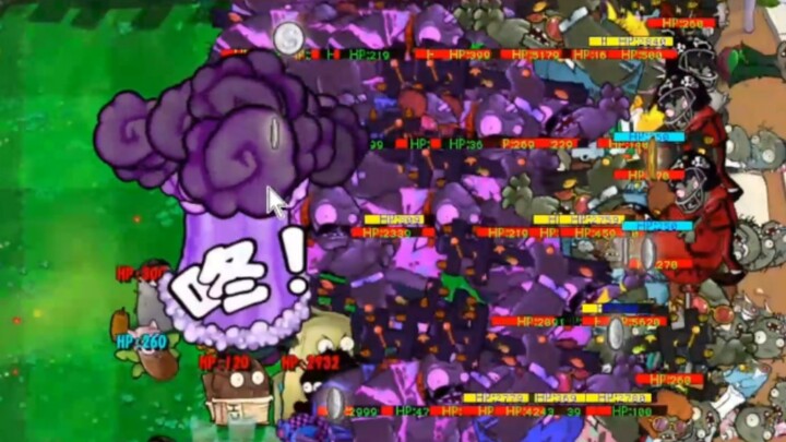 Kalau mau menang, jangan sampai kalah!