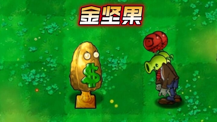 金坚果，有多少钱办多少事