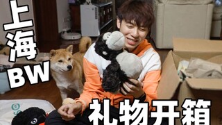 2019上海bw礼物开箱，这个盲盒能开到隐藏款吗？