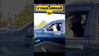 ^ดูรวมคลิปเต็มกดลิงค์ข้างบน^ พร้อมบวก อารมณ์ไม่ค่อยดีนะ #funny #reels #awesome #รวมคลิปตลก