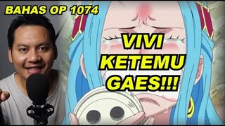 VIVI KETEMU GAES!!! | ADA PENGKHIANAT VEGAPUNK!!! | REVIEW ONE PIECE CHAPTER 1074