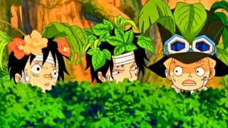 ASL(ace, sabo,luffy)