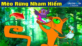 Phim Hoạt Hình Hay - MÈO RỪNG NHAM HIỂM ► Truyện Cổ Tích - Khoảnh Khắc Kỳ Diệu 2021 - Phim Hay 2021