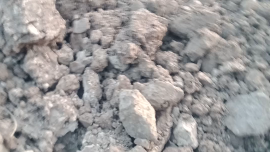 Alien in the Philippines