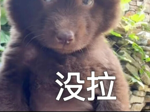 Đã sửa đổi