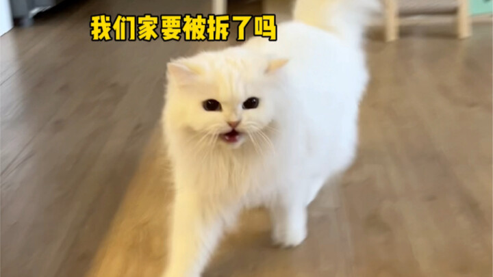 เมื่อมีคนแปลกหน้ามาที่บ้านของอีเหมา…