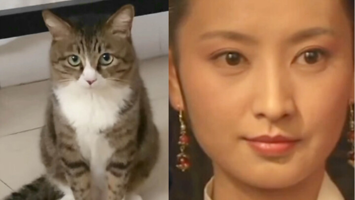 To bear even a little resemblance is your good fortune.