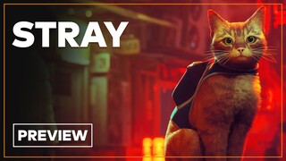 STRAY : Une aventure chatberpunk prometteuse ? PREVIEW