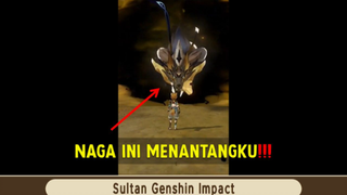 Boss Baru Ini Mencoba MengalahkanKu - Genshin Impact Indonesia