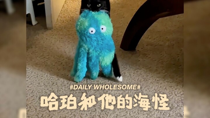 Khi mèo già đi, việc ngậm món đồ chơi yêu thích cũng trở nên hơi nặng nhọc...