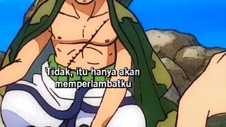 Ketika Zoro Di Remehkan