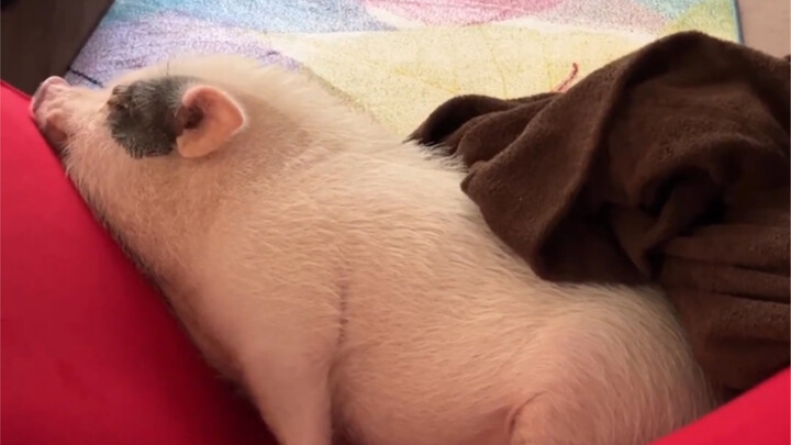 A girlfriend who says she’s not mad