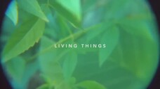 2020 - Living Things (Short Film)