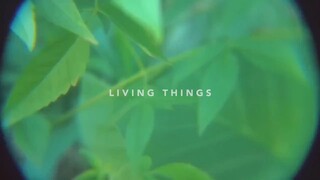 2020 - Living Things (Short Film)