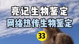 【Liangji Bioassay】Internet Hot Biological Identification 33