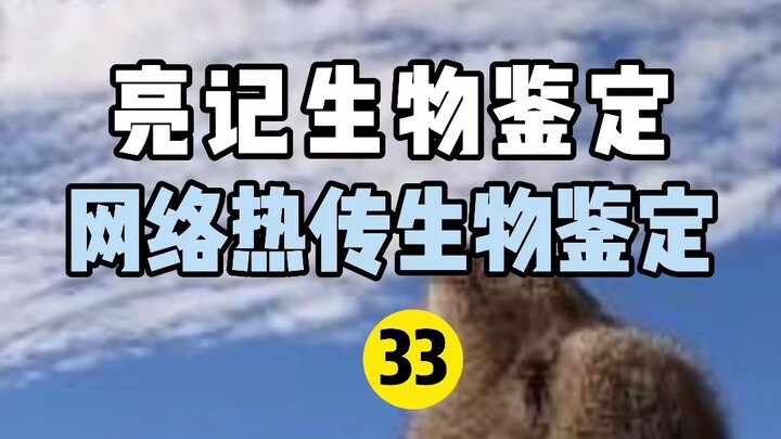 【Liangji Bioassay】Identifikasi Biologis Panas Internet 33