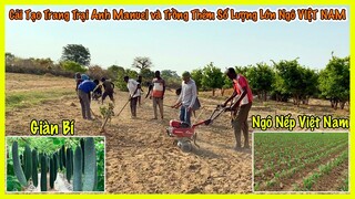 Công Giáp || Cải Tạo Trang Trại Và Trồng Thêm Số Lượng Lớn Hạt Ngô Nếp Việt Nam