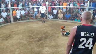 Pilipino Warrior, gandang laban! 1shot 🏆