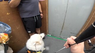 Watch me perform: Not only can I take my owner up and down the elevator, but I can also burp~