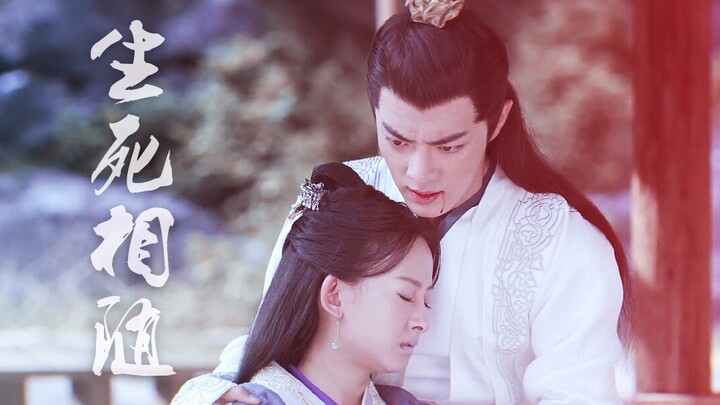 [Yan Bingyun & Shen Wan'er] Through life and death, I’ll follow you—kissing the twilight and the mor