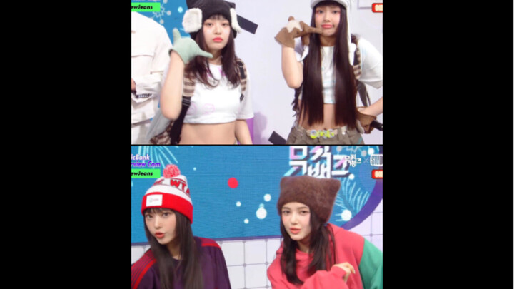 هل أختار omg أم ditto؟