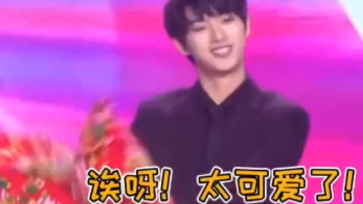 تشنغ تشنغ: لحسن الحظ أن هِرَّ علّمني قبل المجيء #دينغ تشنغشين#