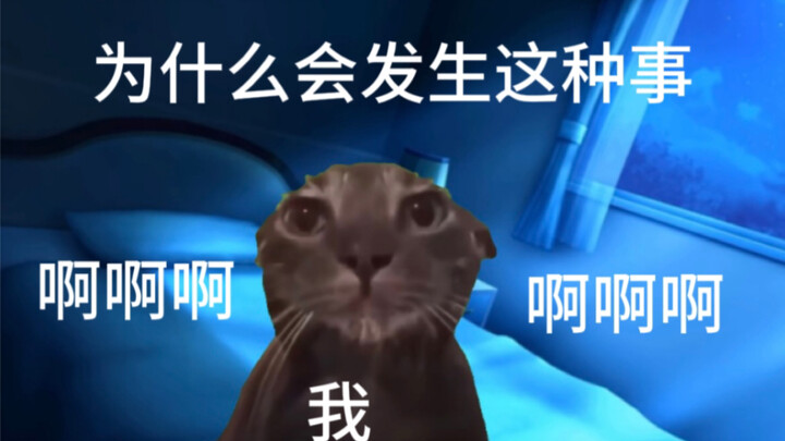 【猫meme】妇女节全家进医院