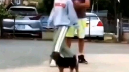 Which one am I even supposed to chase?