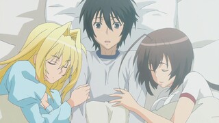 [Rekomendasi Anime Harem] Tiga anime harem yang sangat enak untuk ditonton (9)