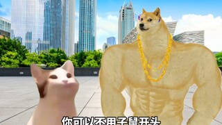 Everyone, come and see the twelve zodiac animals I memorized!