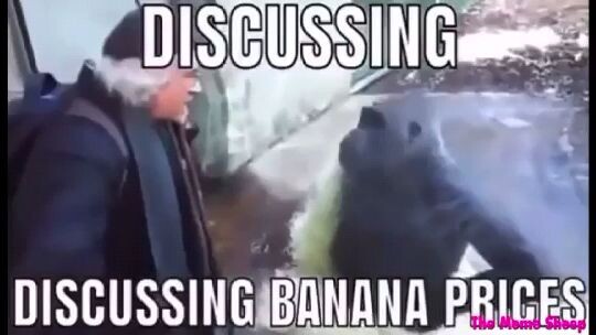How much Euro for a Banana sir