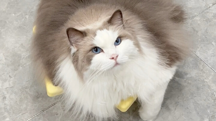 ใครทำข้าวต้มล้นออกมา ลดไฟหน่อย!