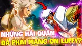 NHỮNG HẢI QUÂN PHẢI MANG ƠN LUFFY?! | LUFFY CŨNG TỪNG CỨU GIÚP HẢI QUÂN TRONG ONE PIECE