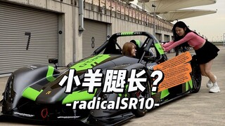 Câu hỏi: Rốt cuộc chân của chú cừu con dài bao nhiêu?