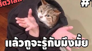 รวมคลิปตลกๆ : เมื่อเพื่อนเราตีมึน…เราเลยต้องพูดว่า!!