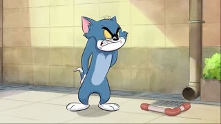 FULL EPISODE: Count On Merli | Tom and Jerry | Anime And Cartoon