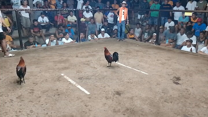 pnalo