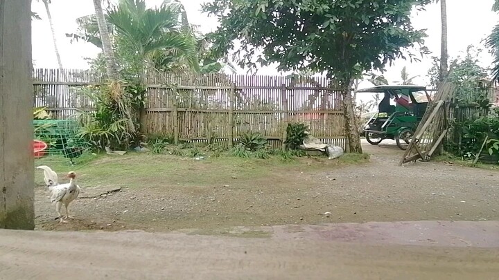 Sparring tas mga warriors