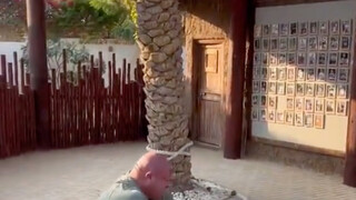 في البداية، لم أكن أصدق حقًا أن وو سونغ قادر على قتل النمر!