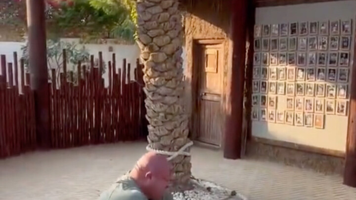 Awalnya agak ragu kalau Wu Song bisa mengalahkan harimau!