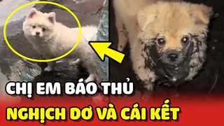 Hai chị em NGHỊCH NƯỚC DƠ bị bố phát hiện và cái kết 😂 | Yêu Lu