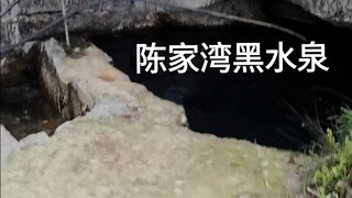 陈家湾黑水泉，村民祖祖辈辈喝了几百年的饮用水源突然受到污染，现在吃水困难，到处掘水；原来清甜的泉水现在一股猪屎味，而且猪场也不远，但是没有猪场排污证据
