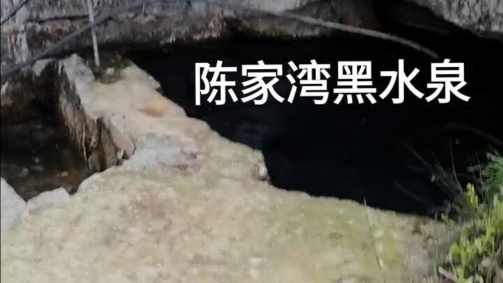 陈家湾黑水泉，村民祖祖辈辈喝了几百年的饮用水源突然受到污染，现在吃水困难，到处掘水；原来清甜的泉水现在一股猪屎味，而且猪场也不远，但是没有猪场排污证据