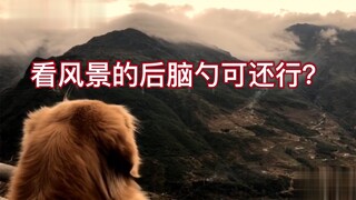 Can you handle Hani's adorably clueless stare?