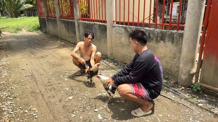 magka patid first spar Sweater grey X Hatch grey