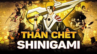 BLEACH | SHINIGAMI LÀ GÌ THẦN CHẾT NHƯNG LẠI CHẾT