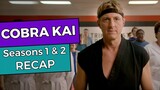 Cobra Kai: Seasons 1 & 2 RECAP
